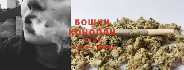 крисы Магас