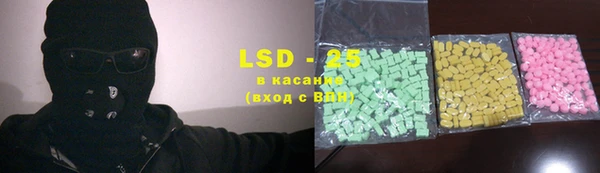 крисы Магас
