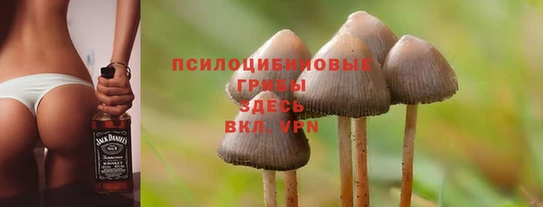крисы Магас